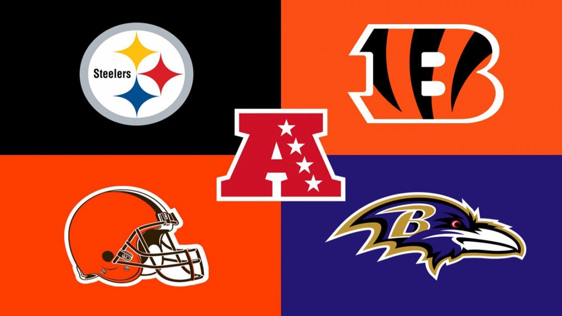 The AFC North